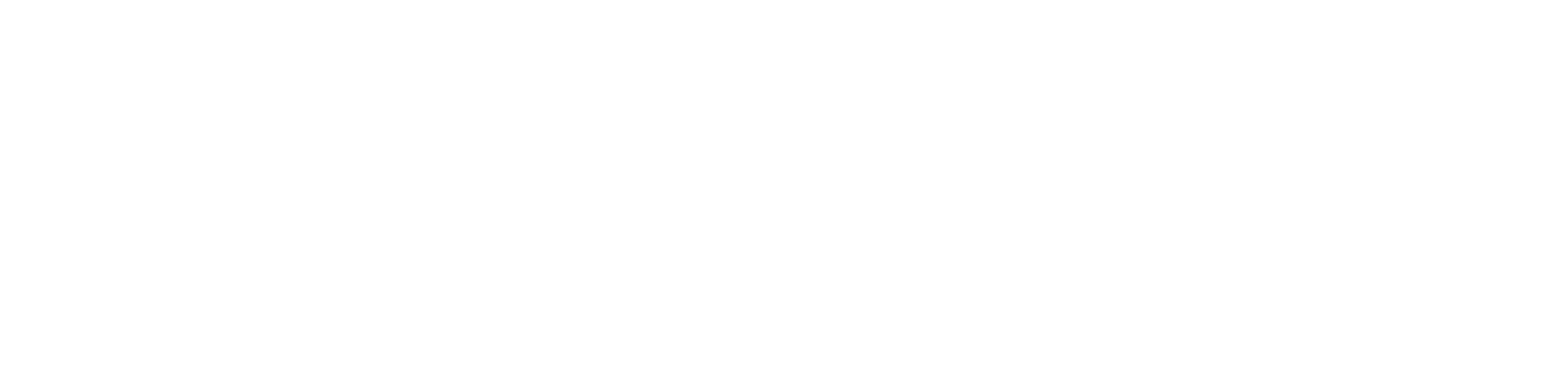 NCAA Logo