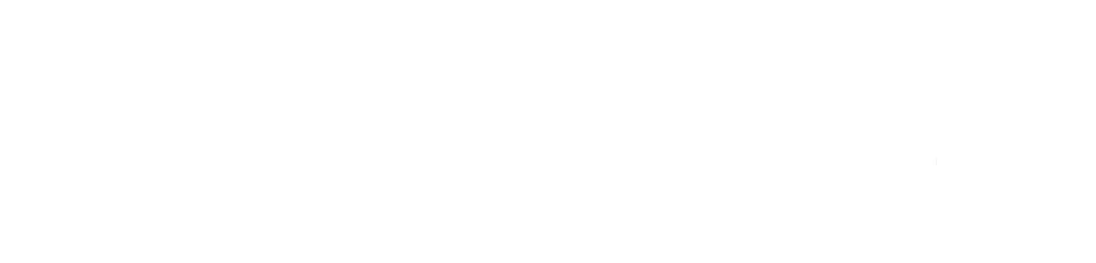 NTTDATA Logo