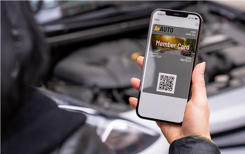 Insurance Pass