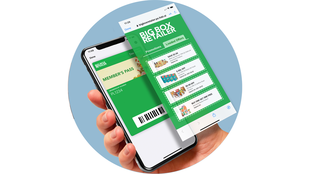 Big Box Retailer web