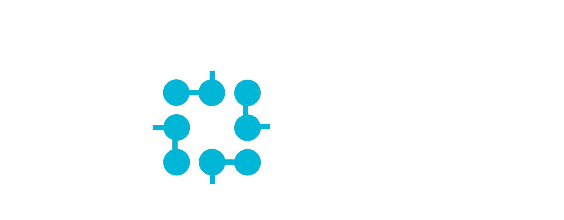 Fobi Reversed Color Logo