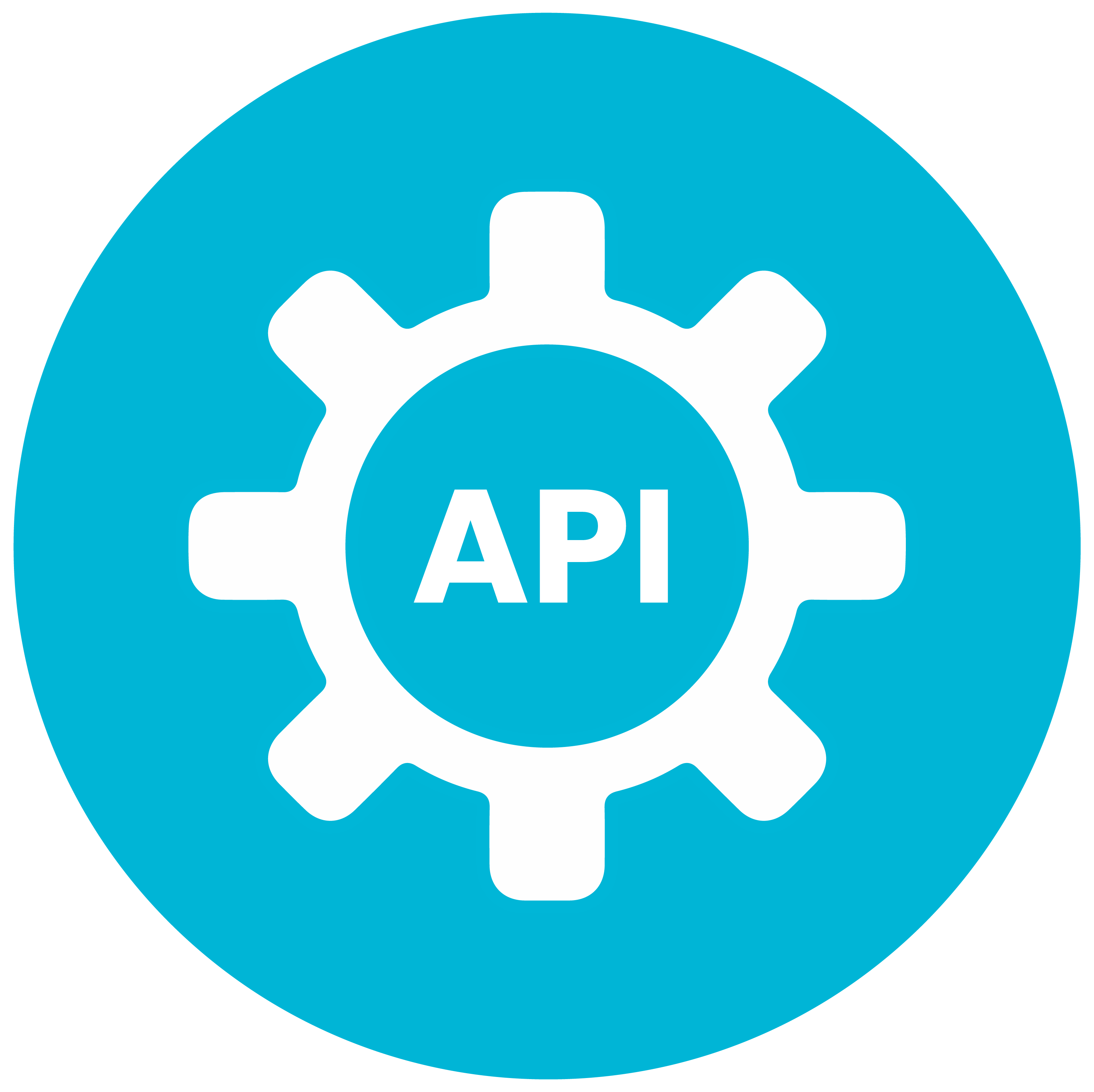 API icon