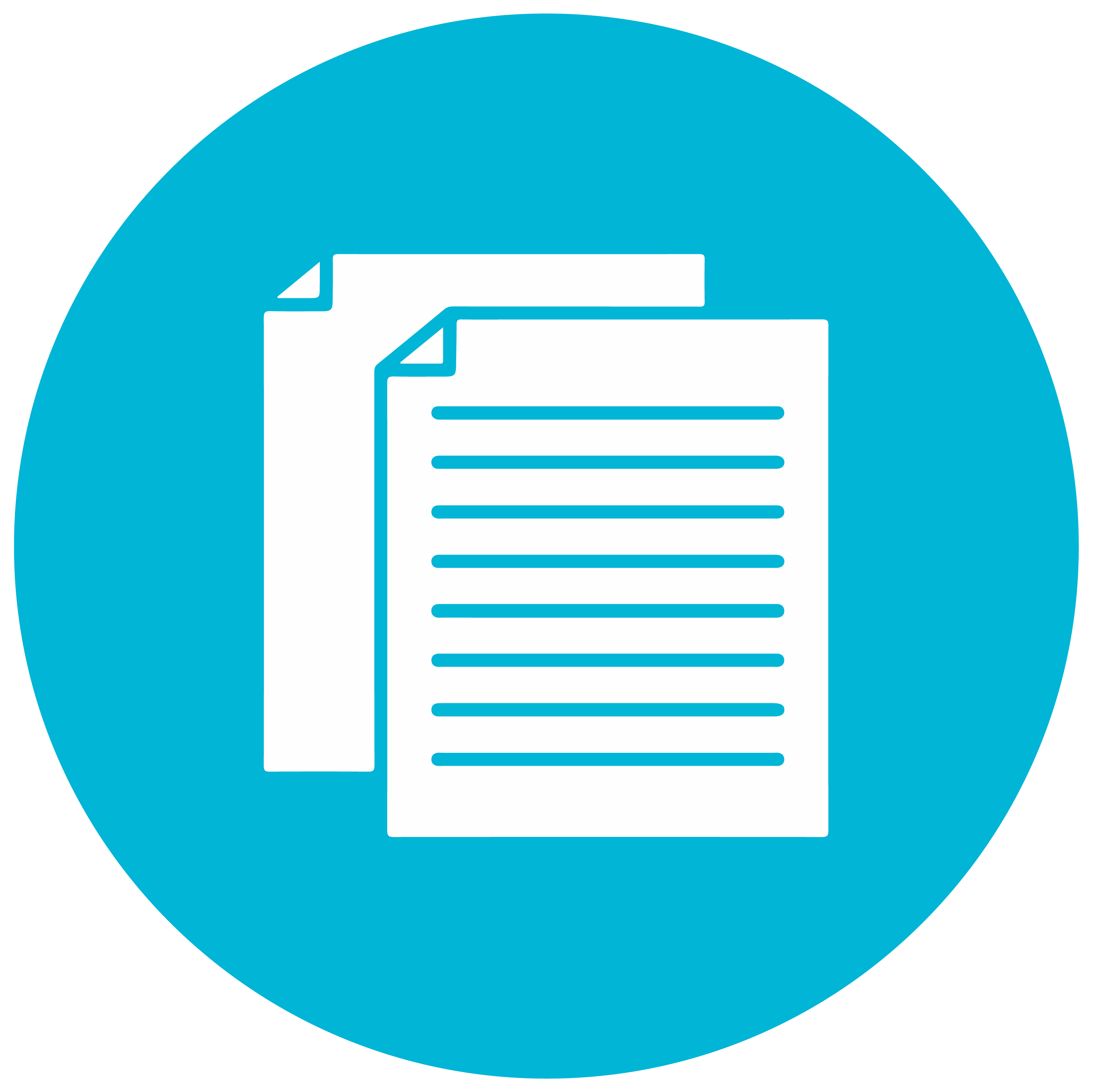 Documentation icon